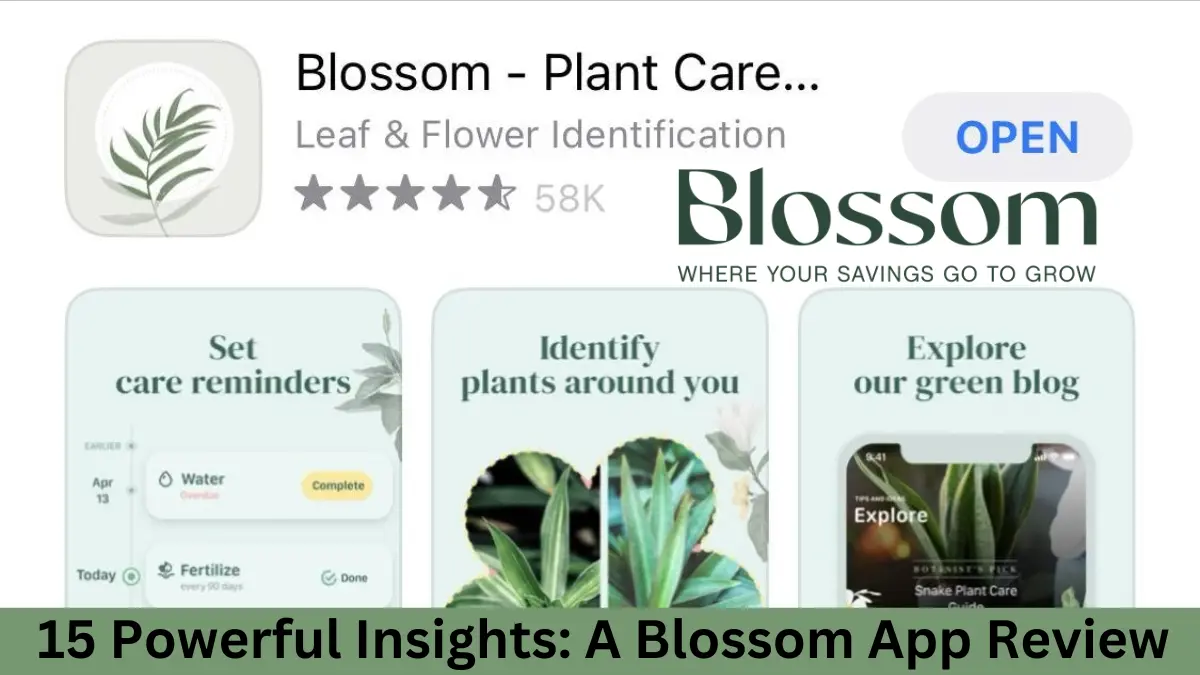 Blossom App Review